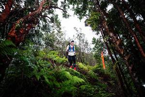 BIB: 
                            <button type="button" onclick="openModal(26203389)" class="btn btn-primary btn-sm float-right btn-popup" data-toggle="modal" data-target=".modal-high-quality">
                        <i class="fas fa-shopping-cart"></i> Add to Cart
                    </button>
                                            <button type="button" onclick="isThisMe(26203389, true)" class="btn btn-success btn-sm float-right btn-popup btn-isme hidden" data-toggle="tooltip" data-placement="bottom" title="นี่คือรูปของคุณใช่ไหม คลิกที่นี่เพื่อเอาเข้าอัลบั้ม">
                        <i class="fas fa-plus"></i> Add to album
                    </button>
                    <button type="button" onclick="isThisMe(26203389, false)" class="btn btn-warning btn-sm float-right btn-popup btn-isnotme hidden">
                        <i class="fas fa-ban"></i> Remove from album
                    </button>